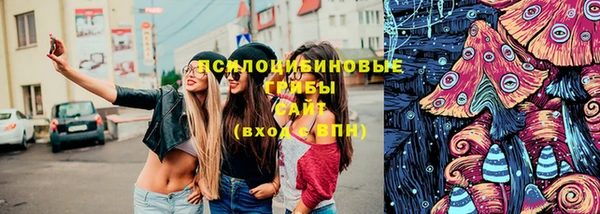 apvp Заволжск
