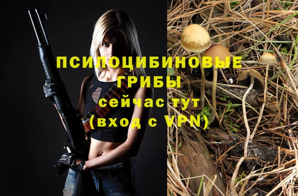 тгк Заводоуковск