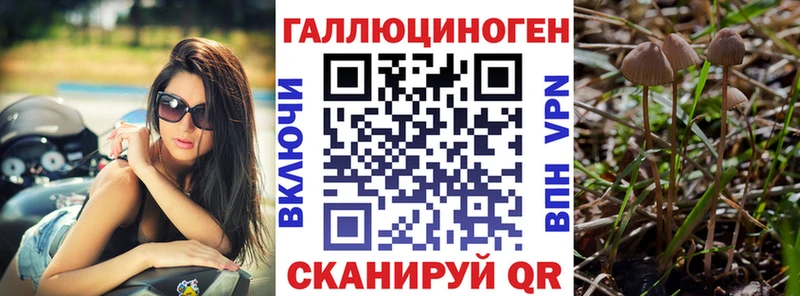 Купить где  Знаменск  Галлюциногенные грибы прущие грибы 